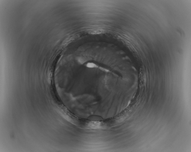 X0000111440227200908241151