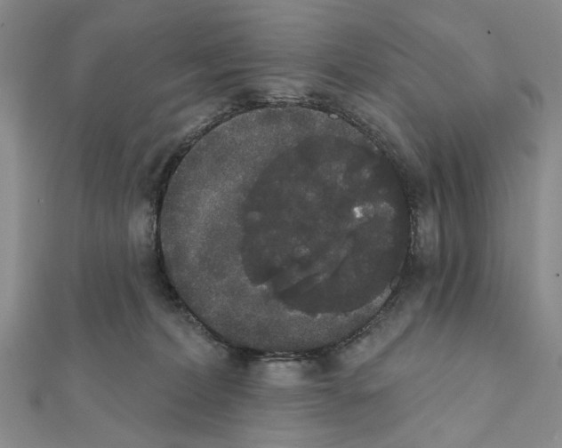X0000111440228200908241151