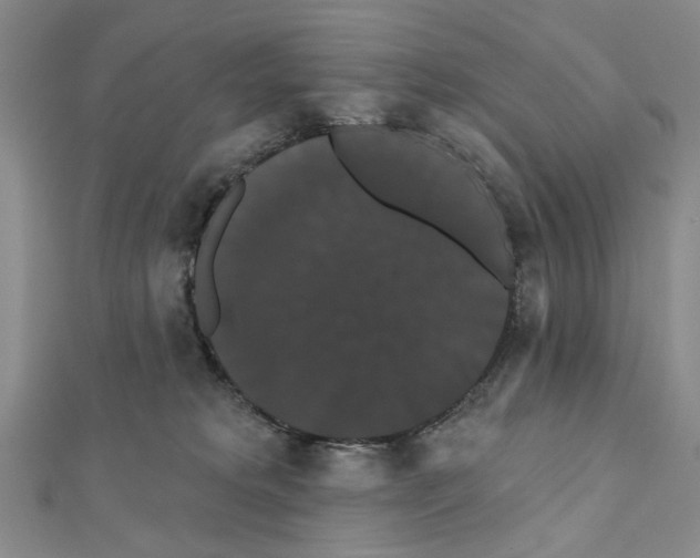 X0000111440229200908241151