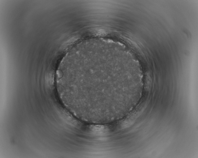 X0000111440230200908241151