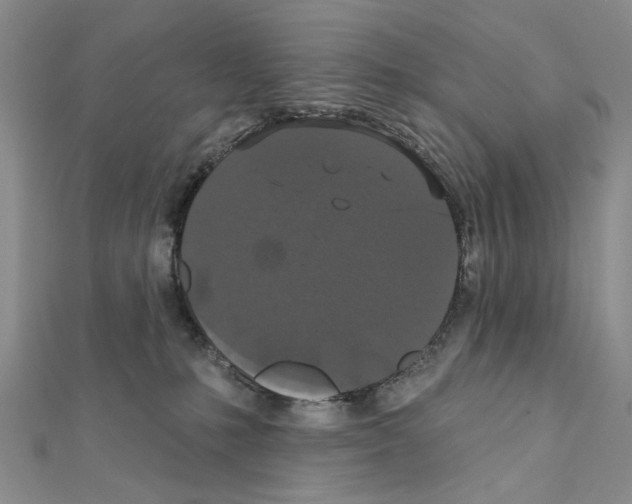 X0000111440231200908241151