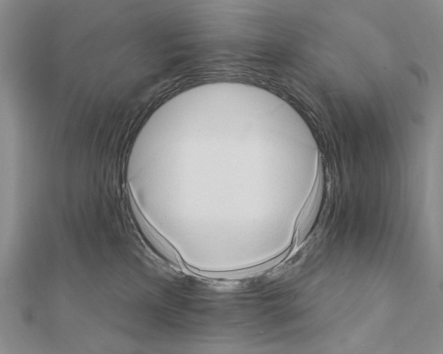 X0000111440233200908241151
