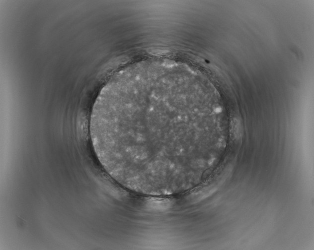 X0000111440234200908241151