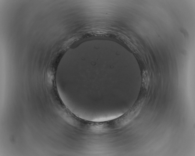 X0000111440235200908241151