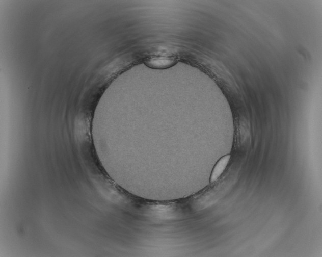 X0000111440236200908241151