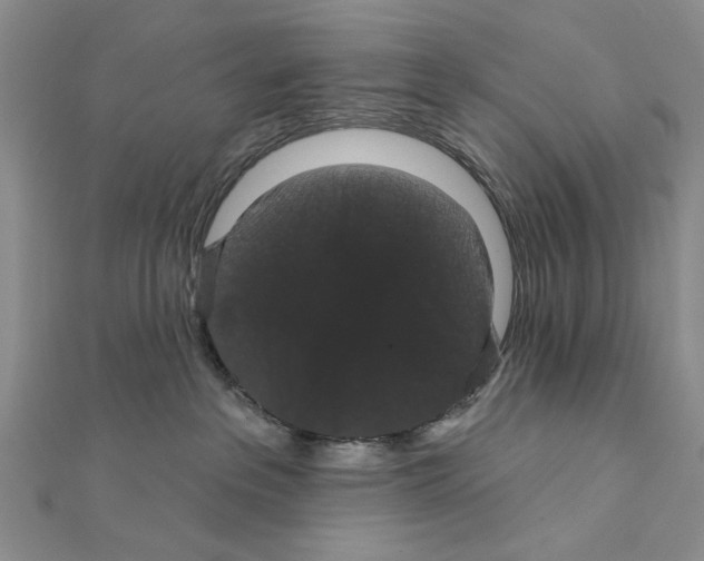 X0000111440237200908241151
