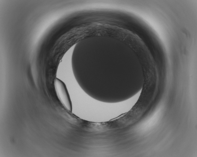 X0000111440239200908241150