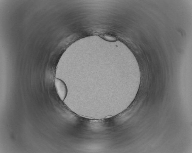 X0000111440240200908241150
