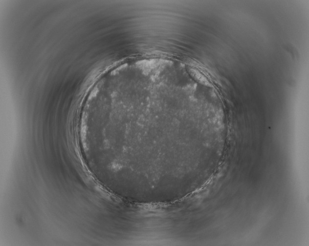 X0000111440241200908241150