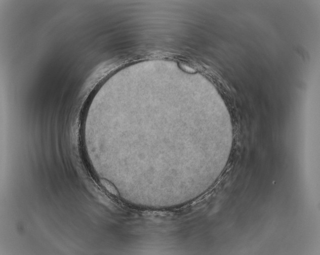 X0000111440242200908241150