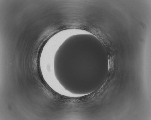 X0000111440243200908241150