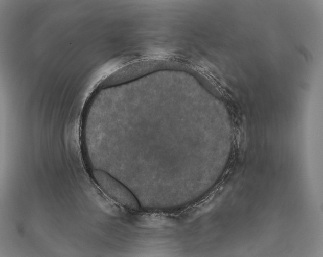 X0000111440244200908241150