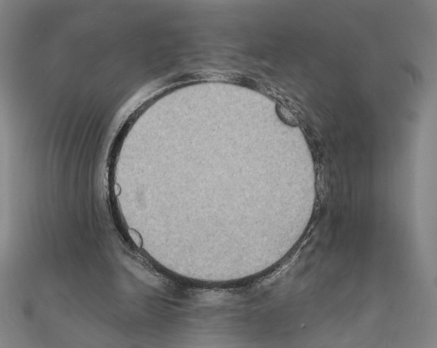 X0000111440246200908241150