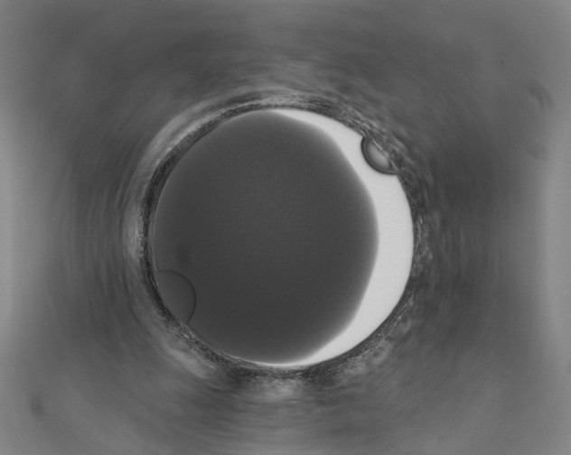 X0000111440247200908241150