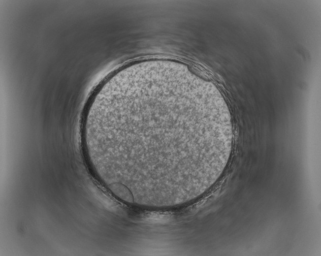 X0000111440248200908241150