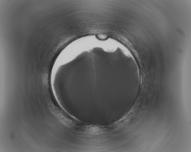 X0000111440249200908241150