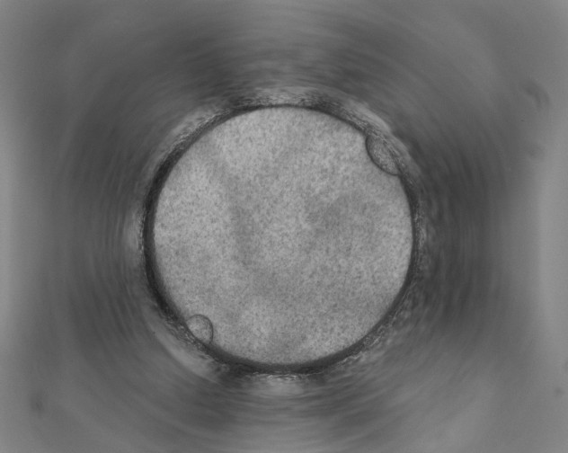 X0000111440250200908241150