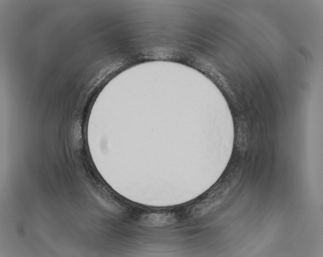 X0000111440251200908241150