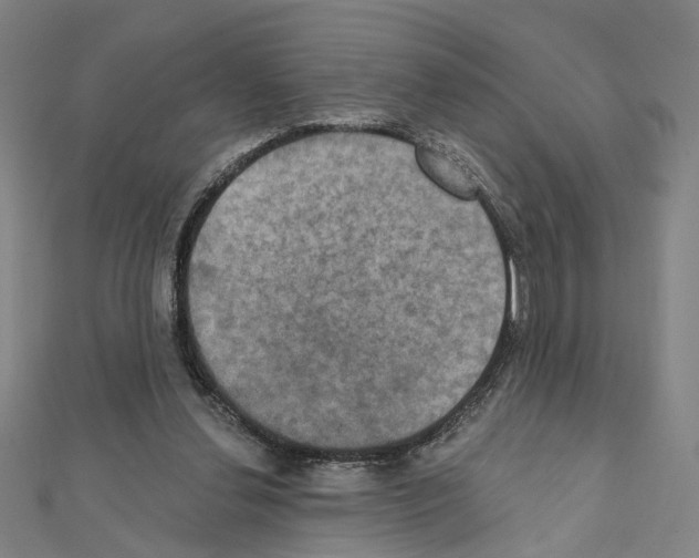 X0000111440252200908241150