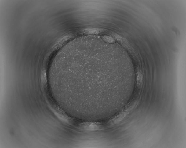 X0000111440254200908241150