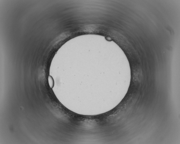 X0000111440256200908241150