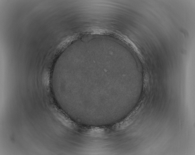 X0000111440257200908241150