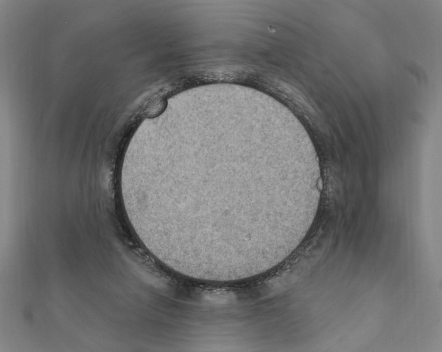 X0000111440258200908241150