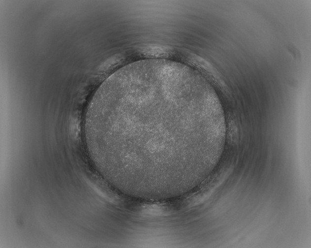 X0000111440259200908241150