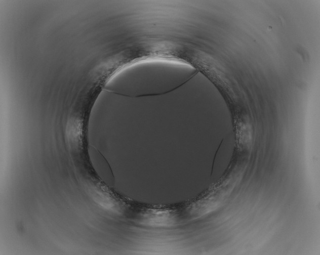 X0000111440260200908241150