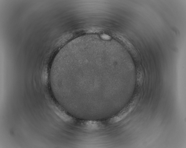 X0000111440261200908241150