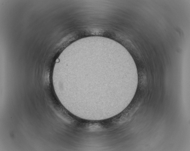 X0000111440262200908241150