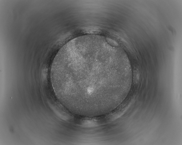 X0000111440263200908241150