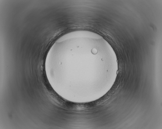X0000111440264200908241150