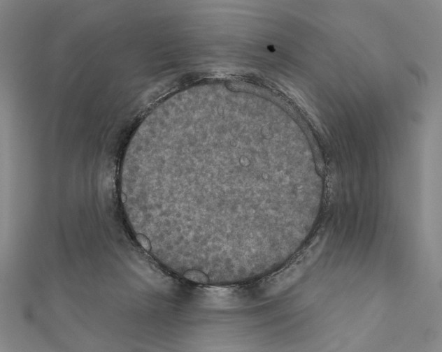 X0000111440265200908241150