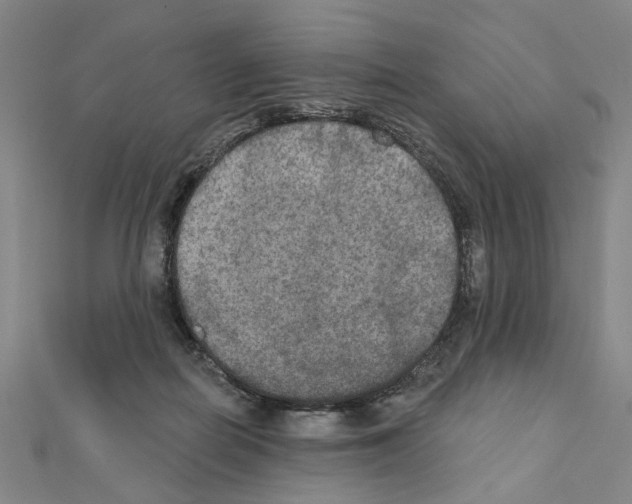 X0000111440266200908241150