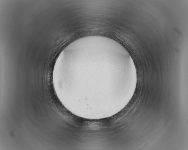 X0000111440268200908241150
