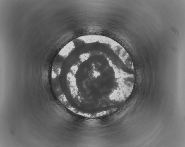 X0000111440269200908241150