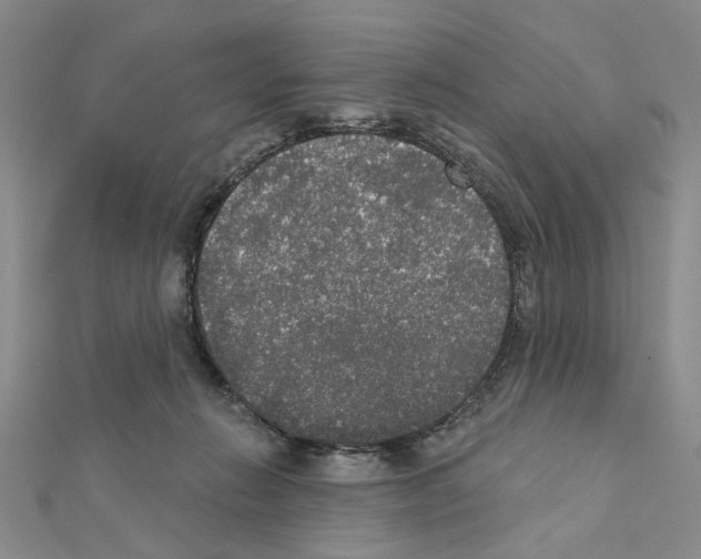 X0000111440270200908241150