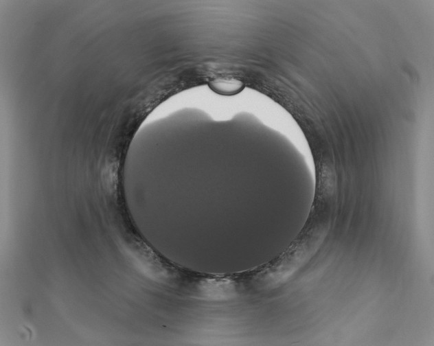 X0000111440271200908241150