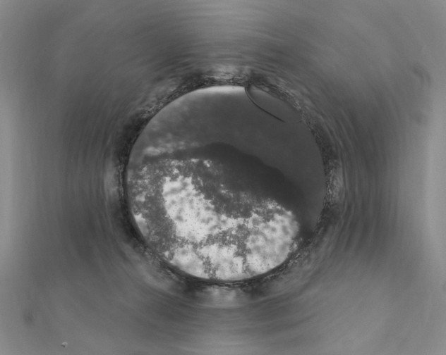 X0000111440272200908241150
