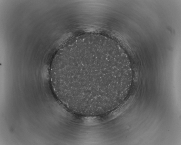 X0000111440273200908241150