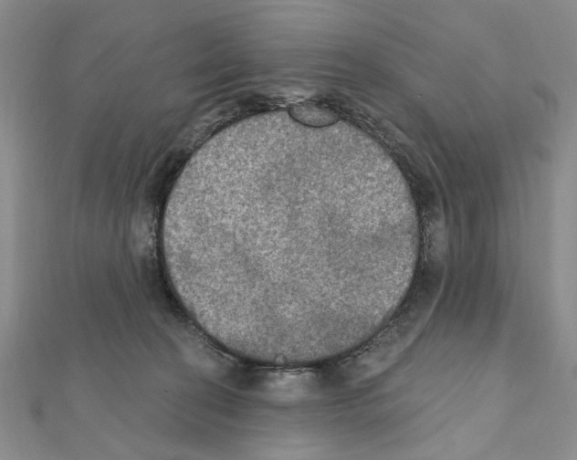 X0000111440274200908241150