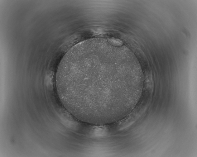 X0000111440275200908241150