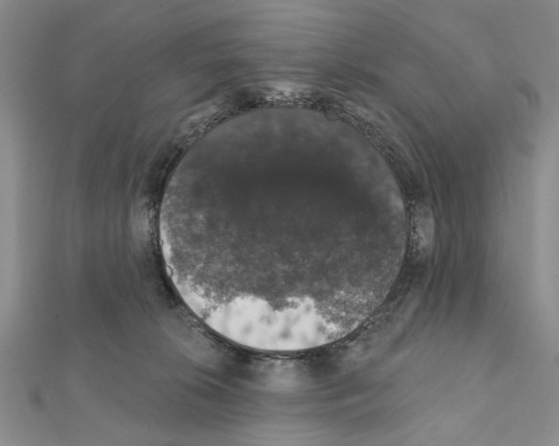 X0000111440276200908241150