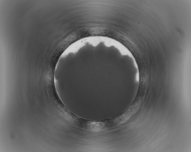X0000111440277200908241150