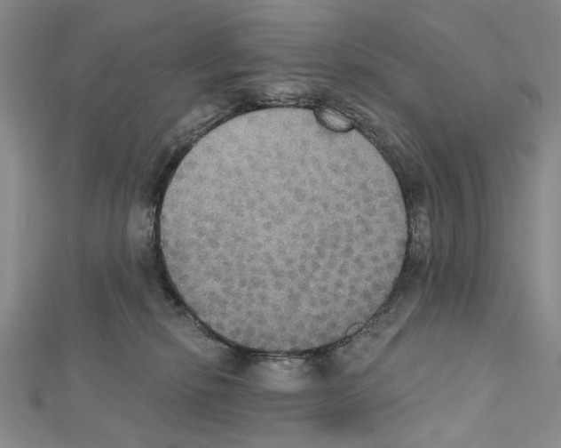 X0000111440278200908241150