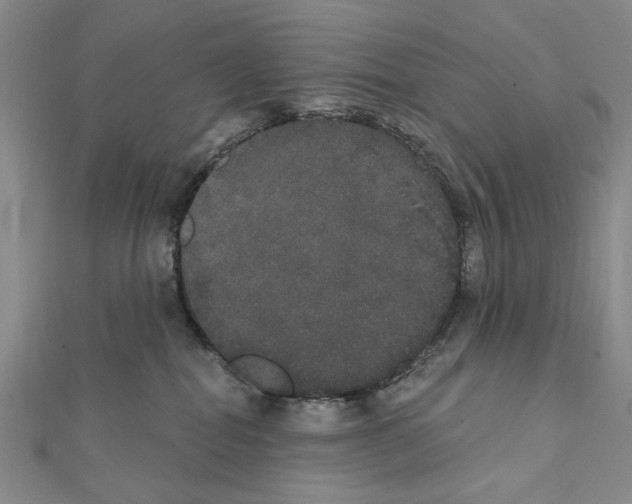X0000111440282200908241150