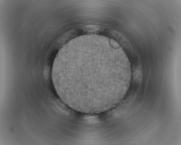X0000111440283200908241150