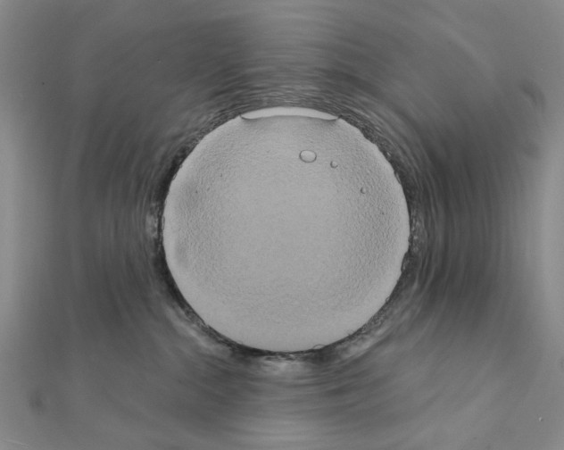 X0000111440284200908241150