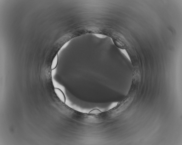 X0000111440285200908241150